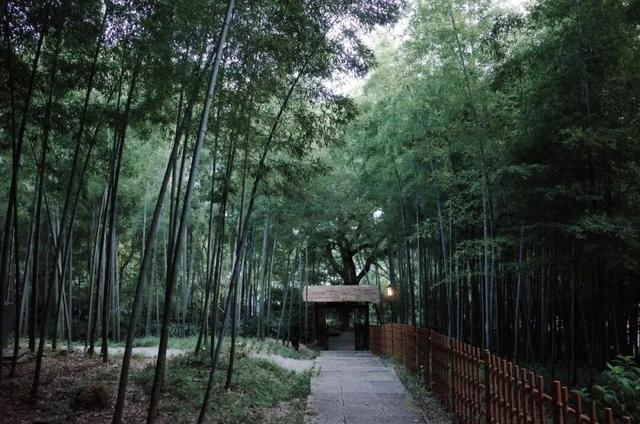 今天就去萧山！追粉黛子、闯绿野仙踪～