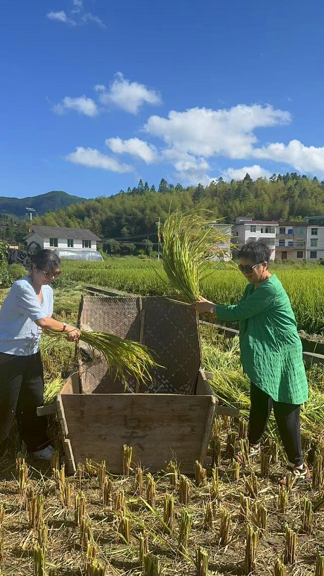 自驾邵武和平古镇三日游(六)春种一粒粟 秋收万颗子 2025·9·25-27