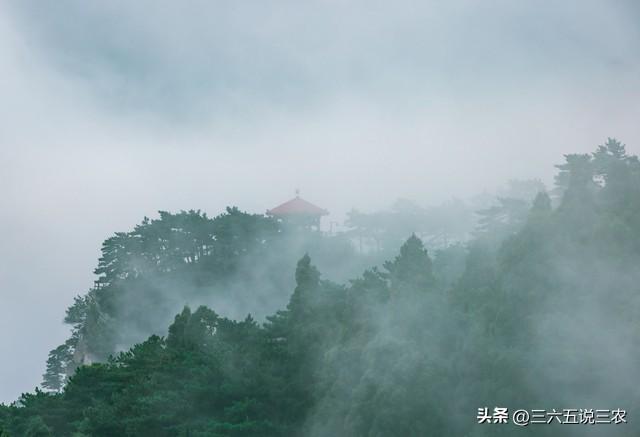不是玄学！明日七月三十，最旺自己的“4件事”，别忘了告诉家人