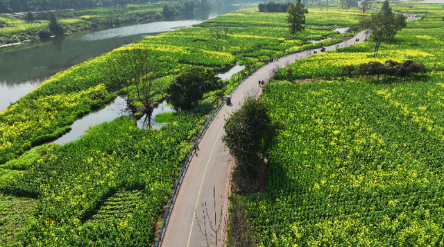 免费打卡！乐山这些地方的油菜花可以约起来啦~