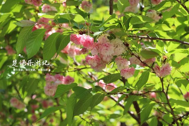 宁波这两座水库相距仅千米，之间藏着多条绿道和茶咖空间，都很美