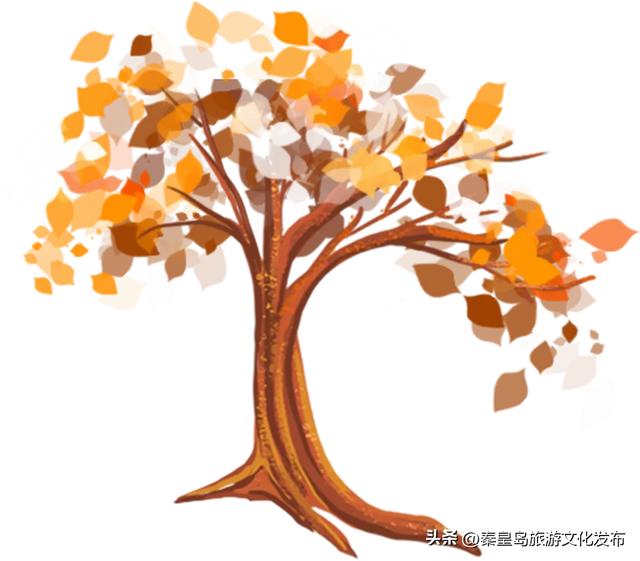 初冬，秦皇岛进入“高光时刻”！最美景致就藏在朋友圈里~