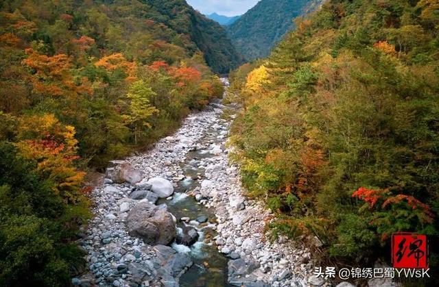 速约！平武彩林秘境进入最佳观赏期，就等你了