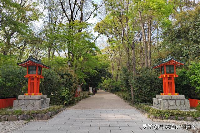 日本京都：走进贺茂御祖神社（下鸭神社）