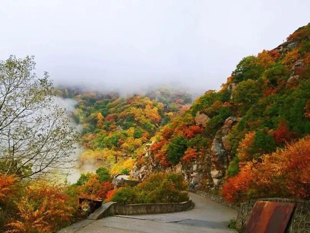 岁月忽向晚，山河染秋色！接下来的房山，每一处都美到心巴上→