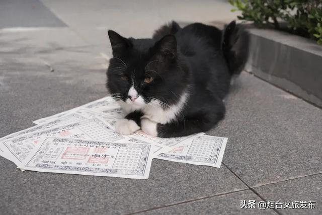 【乐游烟台】0元畅玩！烟台这个公园有新玩法