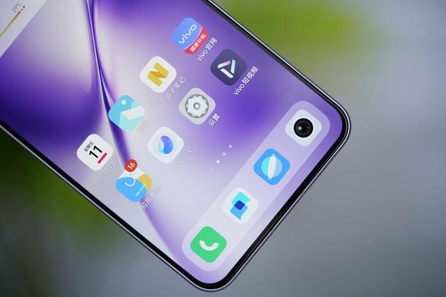 小米赢了Q1，vivo赢了Q2