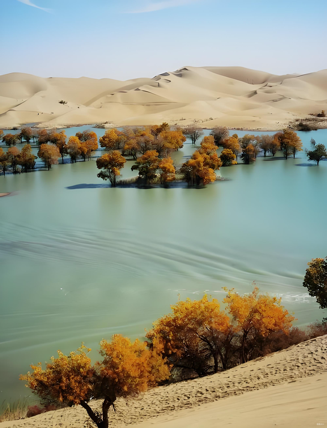 踏迹寻旅：不朽胡杨林游人玩什么？