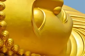 十二生肖中，智商最高的4大生肖，第一名是谁？图片
