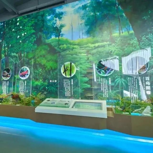 鸟鸣致富路—四川老君山国家级自然保护区奏响屏山文旅融合新乐章