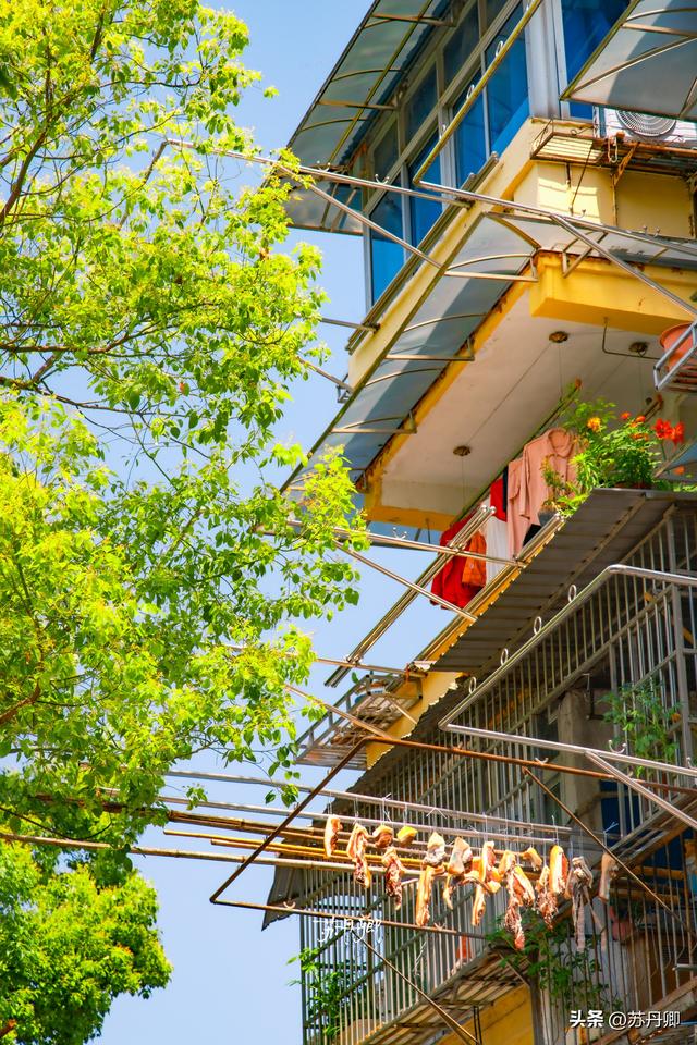 武汉周边游！发现了一座“去班味”的宝藏小城：春末夏初citywalk