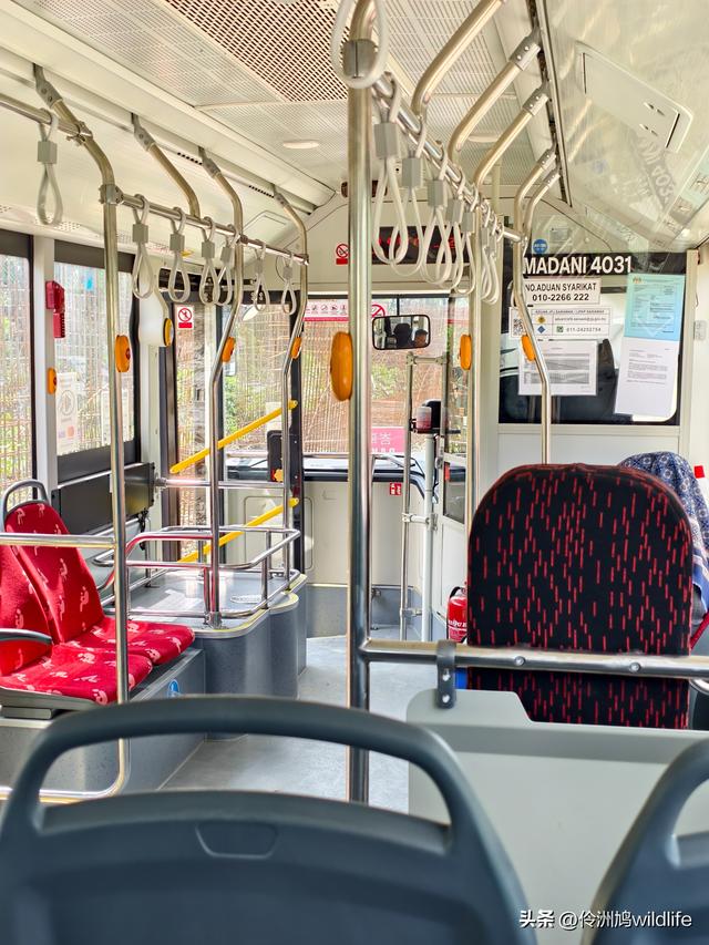 马来西亚(36)砂拉越州⑩峇哥国家公园夜间徒步体验