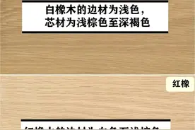 实木家具，这8种木材最好要了解！对比一下，看你家适合哪种？图片