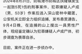 尘埃落定！广西卢成畏罪自杀，细节曝光，死去的5人该谁赔图片