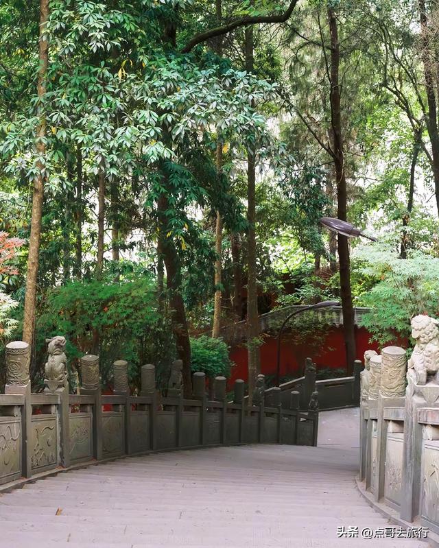 成都周边可乘凉的寺庙，占据绝对优势，25度左右的夏天，不要门票