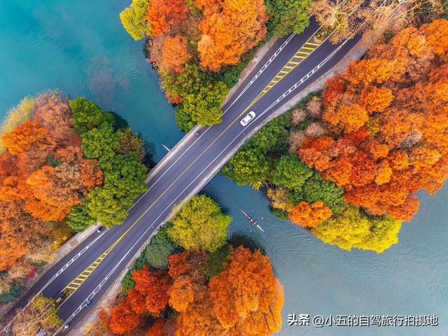 9 地秋日赏秋实测攻略！附最佳时间 + 落地玩法，收藏直接走