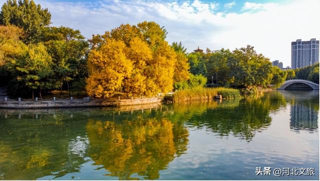 别错过！石家庄市城区赏秋最全指南，来啦→