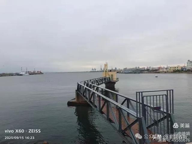 漫步西港花园：在山海之间遇见旧时光｜申艳娟