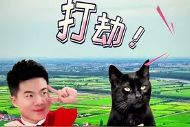 尘埃落定，文旅“打劫”与辉同行风波告一段落，董宇辉花落华为家图片