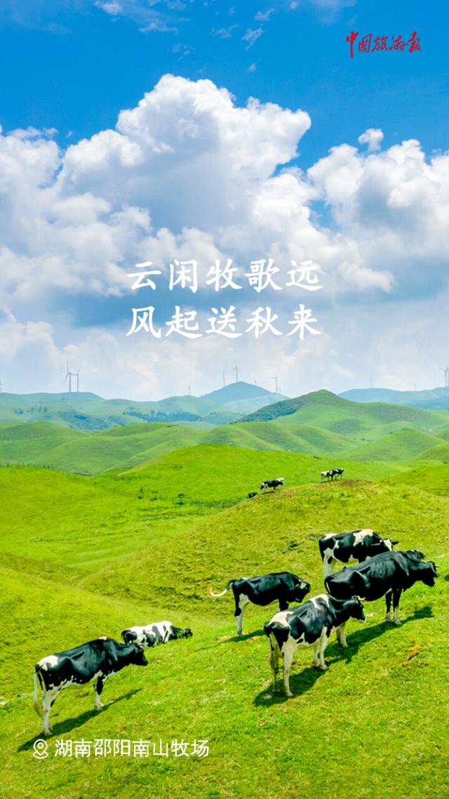 处暑丨撷一缕凉风 与万物共赴秋实