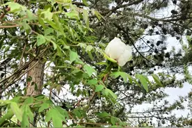 考上公务员，一年能享受多少假期图片