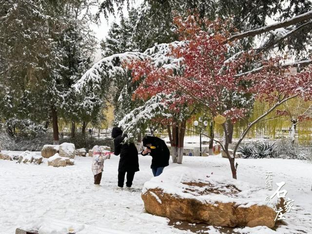 收好这份石家庄“雪景打卡地图”！走起→