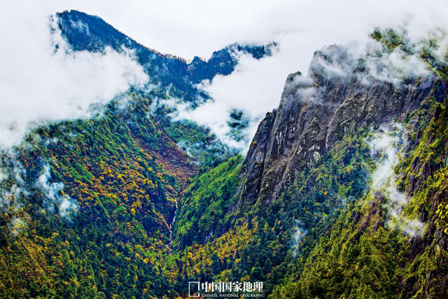 最被低估的秋景，一眼封神！