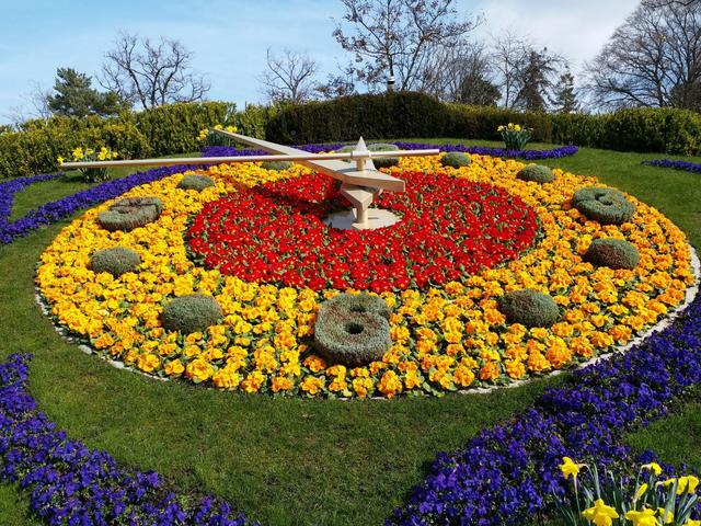 再访瑞士，世界丛林中目睹小国的生存之道