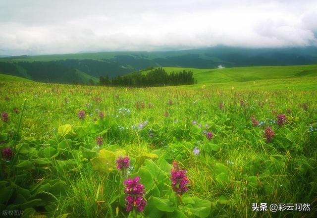 大范围冷空气来袭！多地降温超10℃，明日9月16~17号强降水将展开