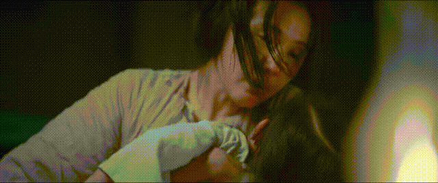 《灼灼韶华》大结局