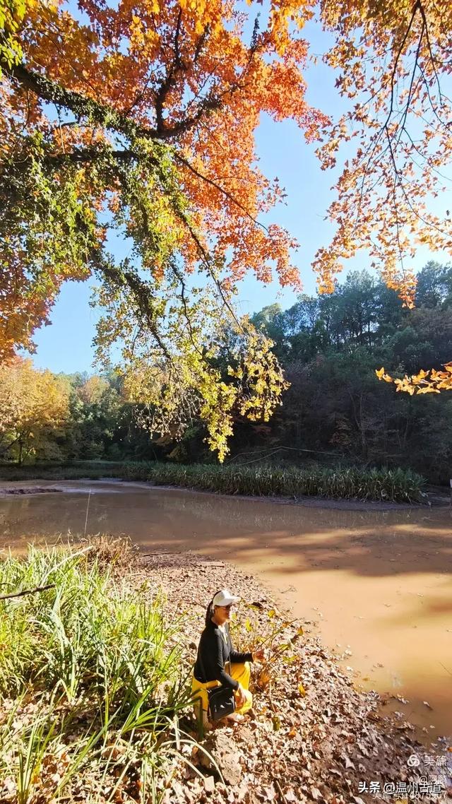 秋染浙西,邂逅烂柯仙境的绝美风光!
