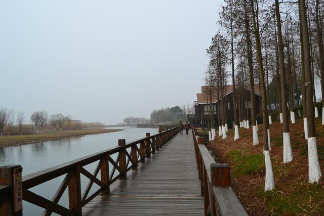 太湖国家湿地公园