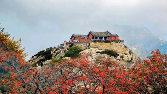 抱犊崮入选山东金秋醉美红叶观赏地