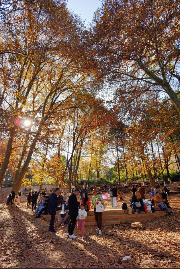 冬日暖阳下，打卡贵阳观山湖公园的绝美风景