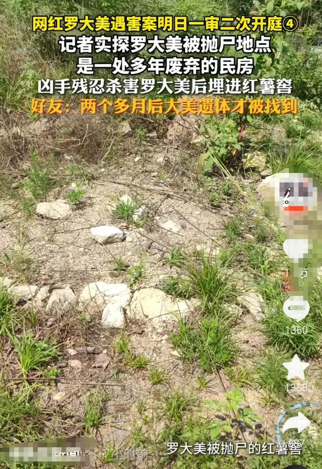 罗大美案一审开庭，三个凶手当庭翻供，网友质疑！
