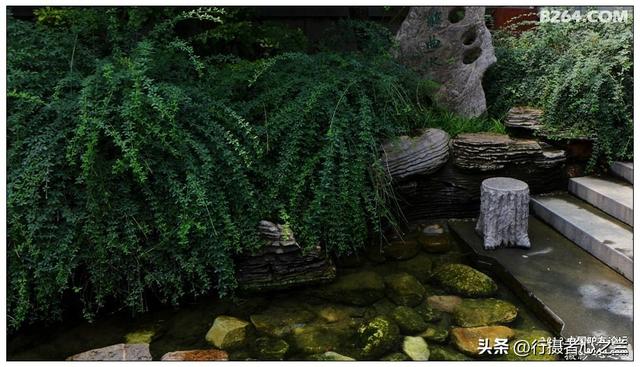 山东行游影记（10）—济南趵突泉（十）