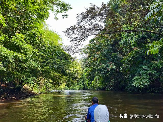 马来西亚(29)砂拉越州③姆鲁山清水洞·风洞