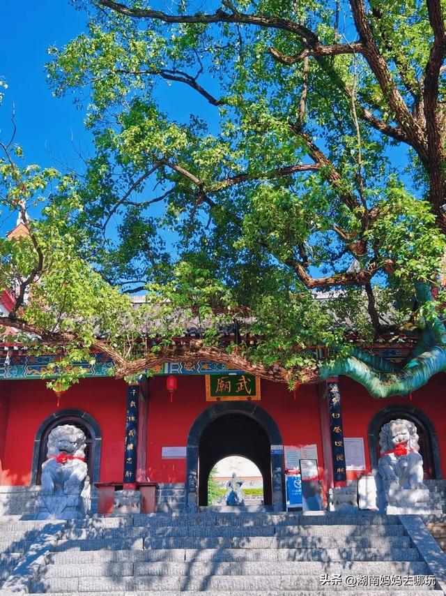 藏不住了！这个小众避暑胜地，带娃玩出千年“穿越感”