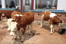 一个东北当年的计划生育罚款户，如今成了当地最幸福的家庭。图片