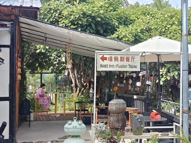 旅居在大理稻田边