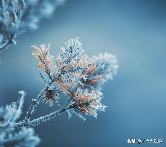 “冷不冷，单看出伏日”，明日出伏，今年冬天冷不冷？早看早了解