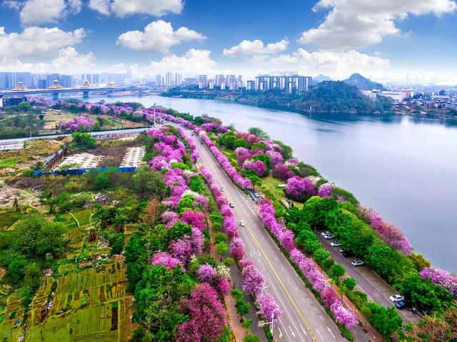 3月4月，10处绝佳踏春地，寻春踏青安排起来