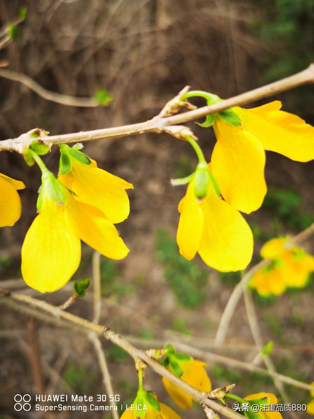 据我实际体验，冬天不宜自驾游