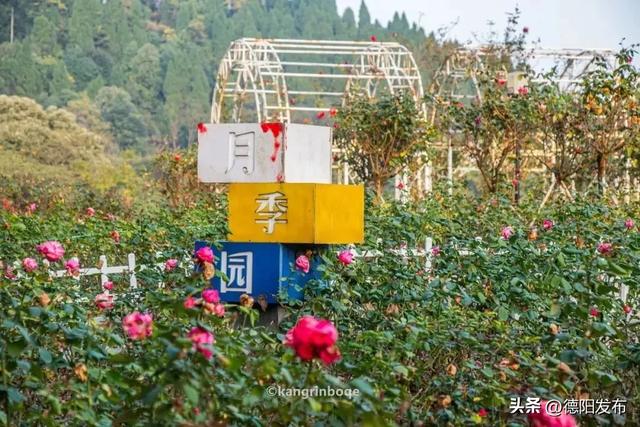 最新实拍!德阳东湖山都美成啥样了啊?太夸张了