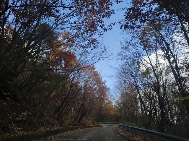 南行漫记：329公里的穿越之路，带你一起看红叶