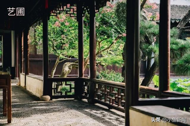 谁说夏天没花看？苏州园林偷偷美翻了！