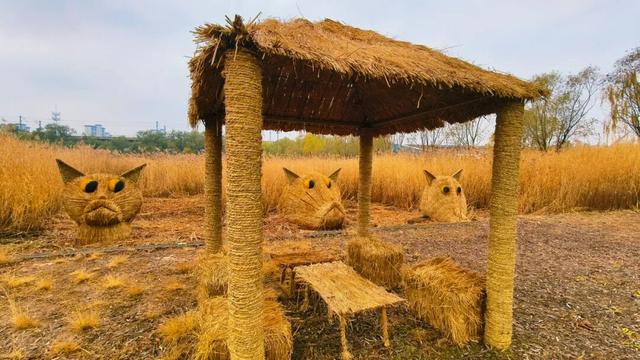 一场“叶舞+稻草”的双重奇遇！北京园博园秋游正当时——
