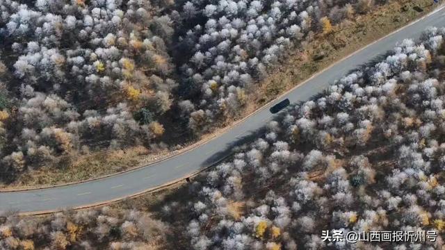 五台山景区雾凇奇观：金秋银装绘就冰雪童话