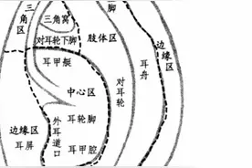耳朵藏玄机：5大区域，病痛高升点一网打尽！图片