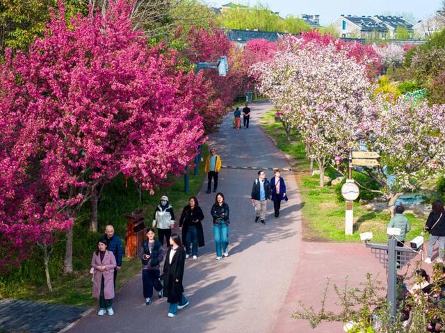 提醒!2025年11月-2026年2月购票游客,即日起免费重游台儿庄已启动